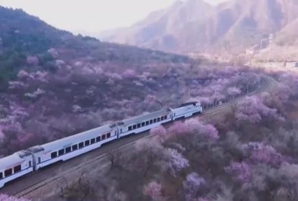 火車(chē)向著景區(qū)開(kāi) 全國(guó)鐵路一季度開(kāi)行旅游列車(chē)627列