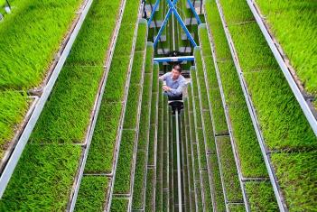 沃野春耕進行時 廣袤田野上處處涌動著勃勃生機