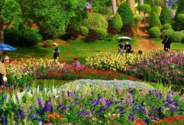 游客漲、預(yù)訂旺 “春日經(jīng)濟(jì)”催熱八桂消費(fèi)市場(chǎng)