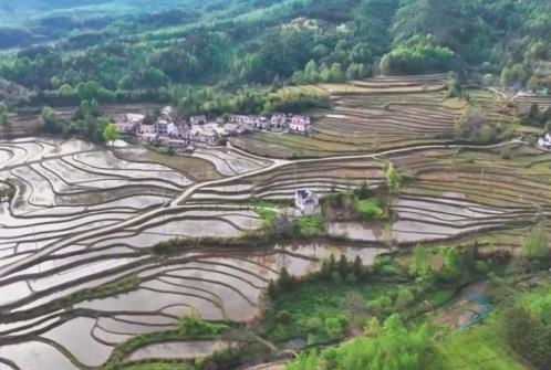 沃野春耕忙“田保姆”上崗 “科技春耕圖”在廣袤田野鋪展開(kāi)