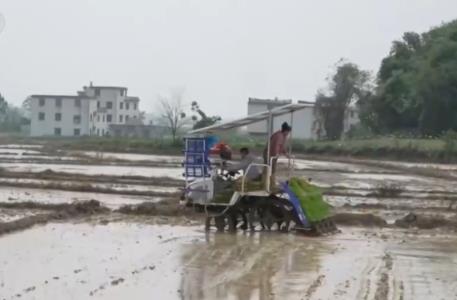 向科技要產(chǎn)量 “一站式”機(jī)械化農(nóng)事服務(wù)成為春耕生產(chǎn)新的“打開(kāi)方式”