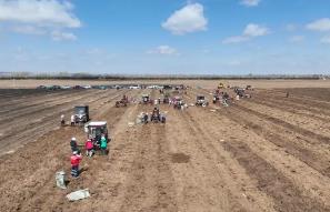 內(nèi)蒙古赤峰市敖漢旗中藥材基地迎來機械化采收