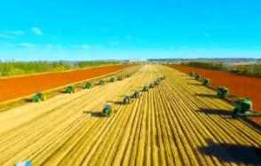 《2026年黑龍江省經(jīng)濟作物產(chǎn)業(yè)發(fā)展工作要點》發(fā)布