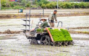 科技賦能繪就福建春耕好“豐景”