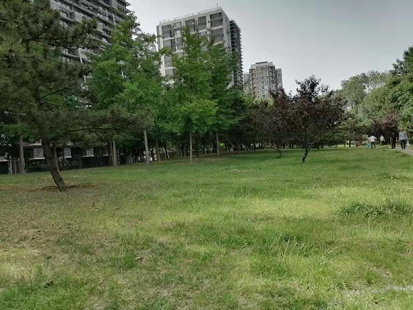 打造“井井有條”眾享生活圈 構(gòu)建群眾滿意城市新格局