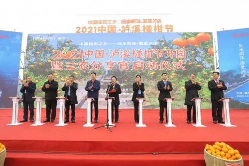 “三農(nóng)分享官”啟動(dòng)站在瀘溪舉行 三農(nóng)頭部主播集結(jié)為瀘溪椪柑打CALL