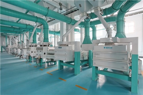 十月稻田稻花香米價(jià)格多少?性價(jià)比高,消費(fèi)者品質(zhì)之選