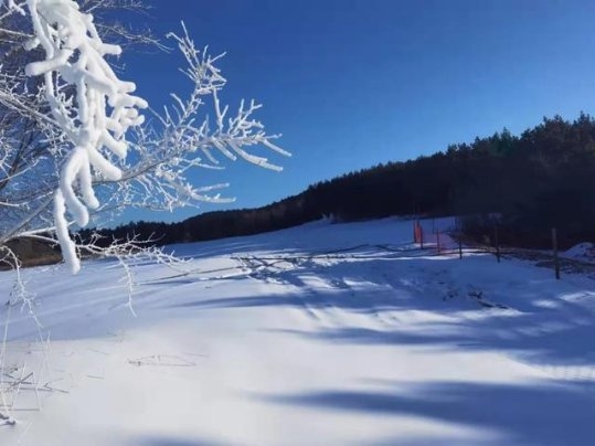  元旦小長假玩點(diǎn)兒啥？九臺(tái)這些地方，不去可別后悔！