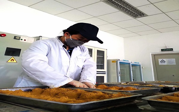  光而不耀固本質(zhì) 靜水流深潛心篤——記楚雄復烤廠生產(chǎn)技術(shù)室質(zhì)檢員沈麗 