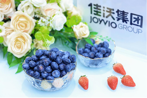 6圖片 1.jpg 6圖片 1.jpg