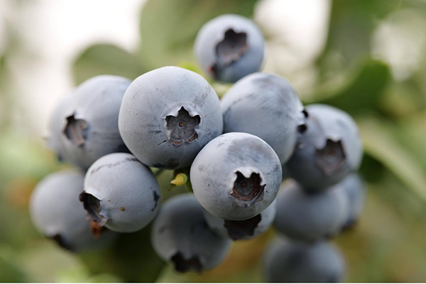 8圖片 1.jpg 8圖片 1.jpg