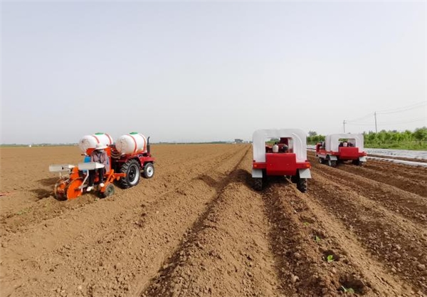  平頂山葉縣：移栽正當(dāng)時(shí)，機(jī)械來助力 