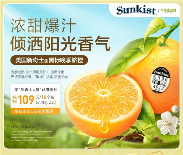  本來生活：百里挑一，站在金字塔頂端的橙子來啦！ 