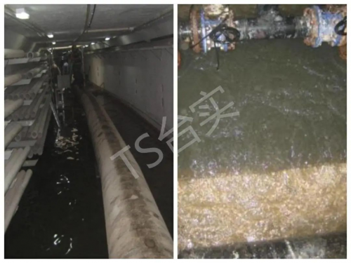 臺實技術(shù)干貨大放送 全國首個獲魯班獎環(huán)海管廊透水搶險工程