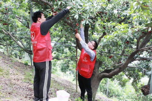 麗水青田縣煙草專賣局：奮進(jìn)新時(shí)代 書寫無(wú)悔青春篇章