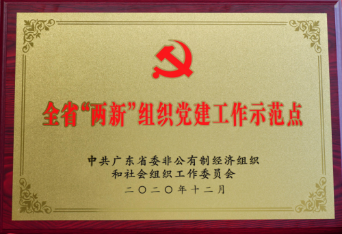 珍愛網(wǎng)以“黨建+互聯(lián)網(wǎng)”，做好青年婚戀工作