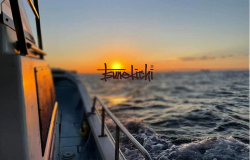 常吉AVSION系列路亞竿或?qū)⑸鲜校匕跣缕窊屜汝P(guān)注！