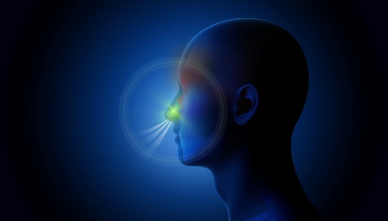 清華大學與北京同仁醫(yī)院團隊發(fā)表研究 揭示慢性鼻病復發(fā)關鍵機制