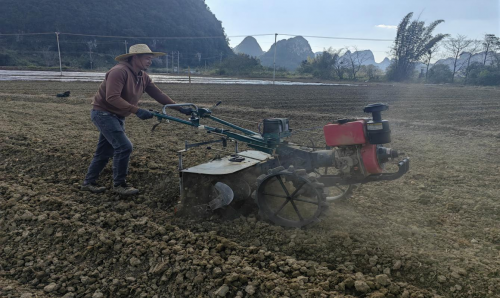 廣西百色：煙田整地起壟“加速度”，奏響鄉(xiāng)村振興“新樂章”