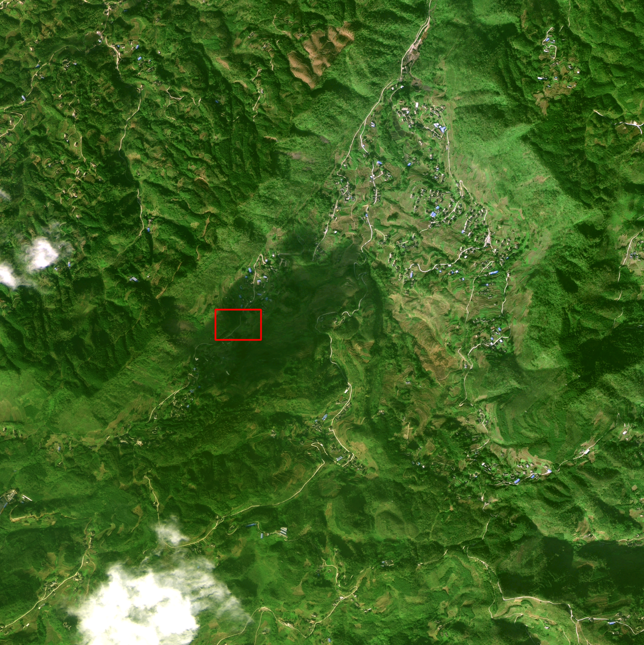 圖片1.png 圖片1.png